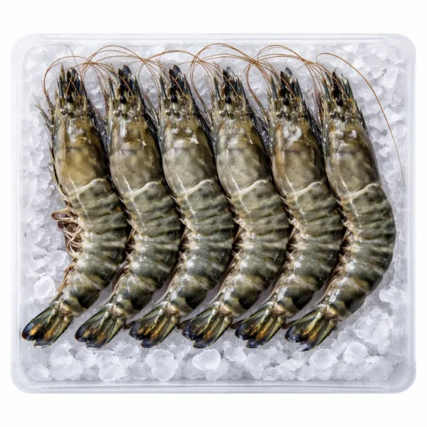 กุ้งกุลาดำแช่แข็ง size 8-10ตัว/กิโลกรัม กล่อง 10 กก